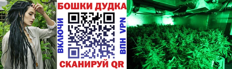 Канабис Bruce Banner Барыш